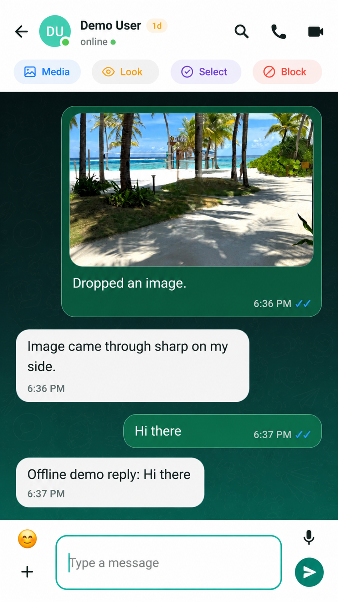 PulseCalls conversation with text, photo sharing and voice and video call controls.
